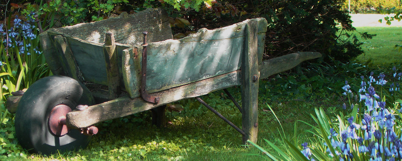 Green antique wheelbarrow surrounded by bluebells